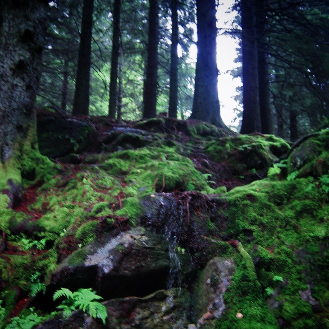 Bergen Fjords, Norway