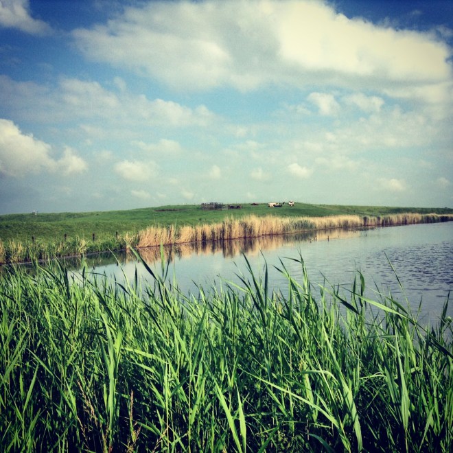 Free camping in the NETHERLANDS!