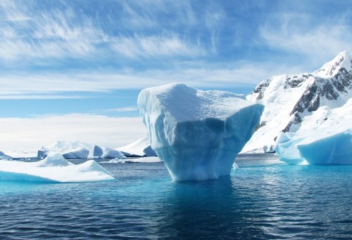 fottles-travels-antarctica