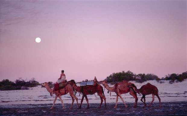 fottles-travels-tracks-5