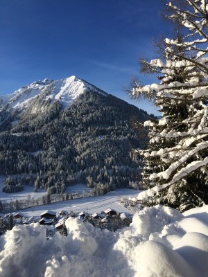 fottles-travels-ski-trip-chatel-france