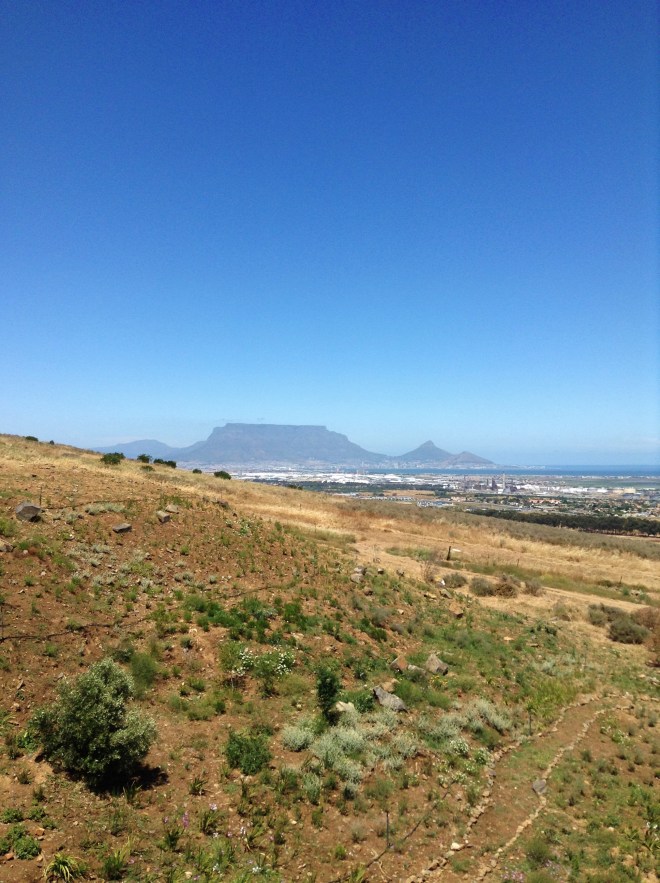 fottles-travels-south-africa