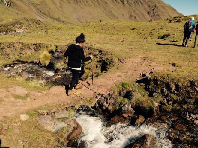 11168422_10153416777392866_2181247117362895494_n