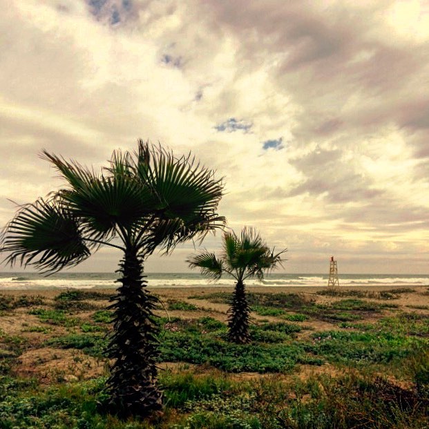 fottles-travels-la-serena-chile